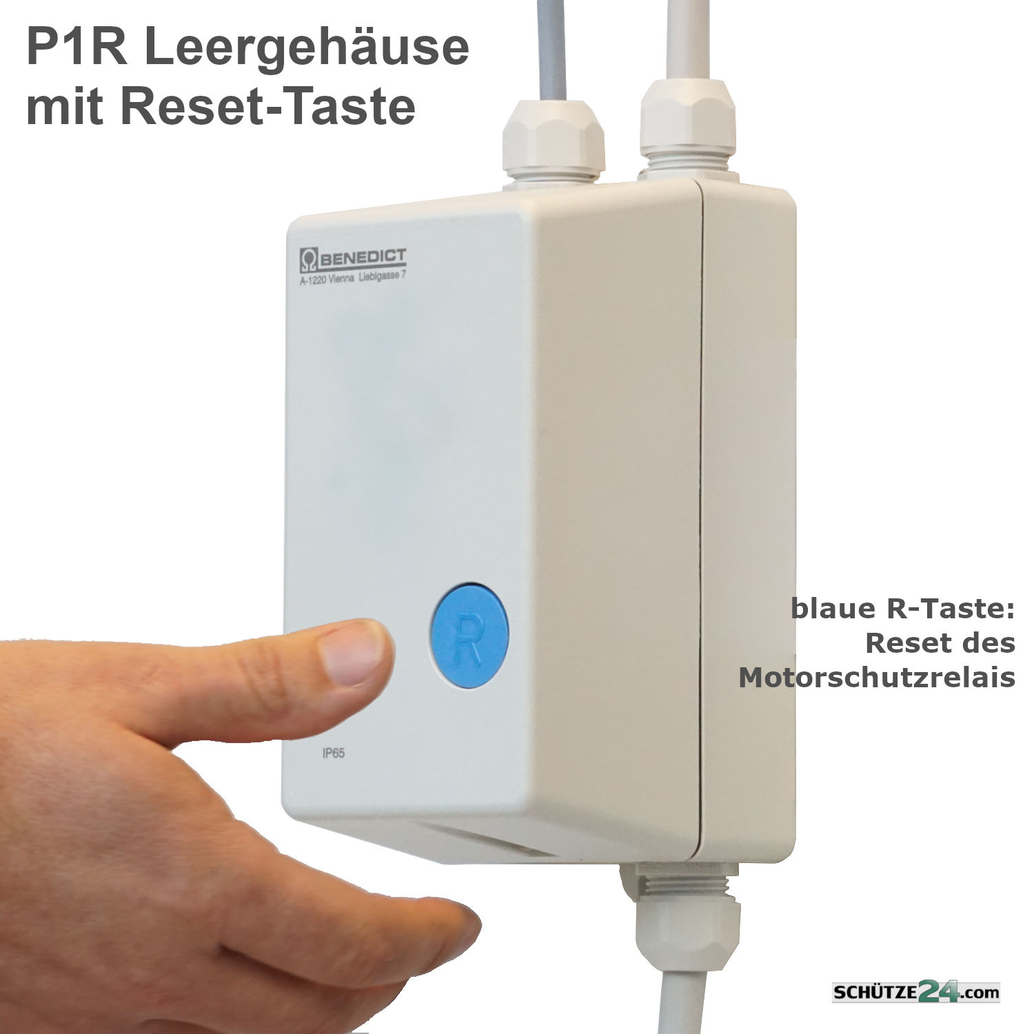 P1R mit Rückstelltaste für ein eingebautes Motorschutzrelais